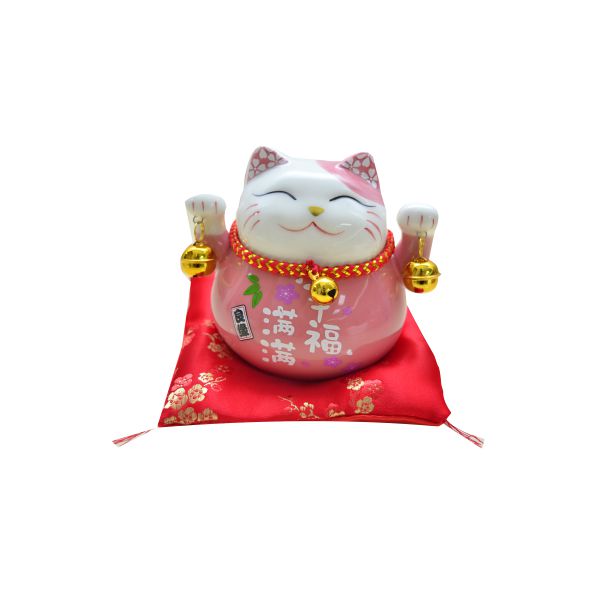 Gatinho oriental